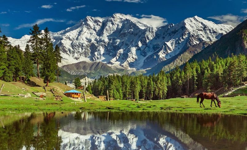 minimarg-astore