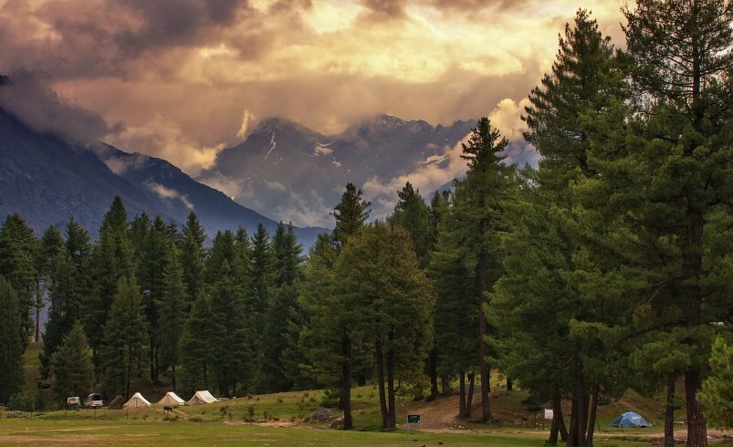 Rama-Meadows