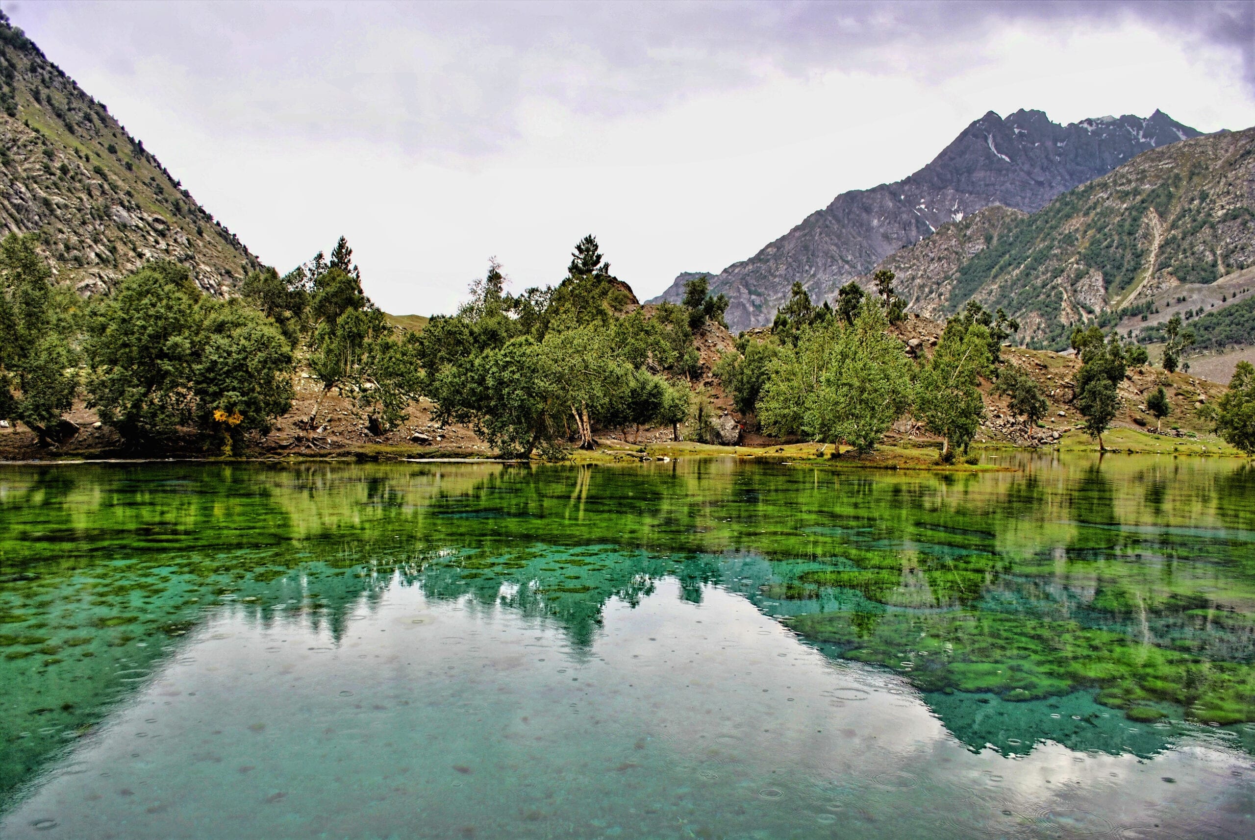 Travel Guide for Naltar Valley