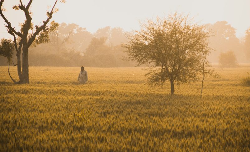 Punjab Insights: Culture, History & Best Places to Visit